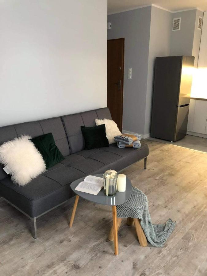 אלבלאג Apartament Stare Miasto מראה חיצוני תמונה