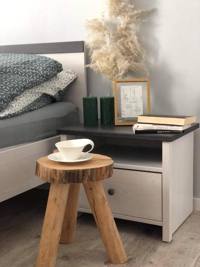 אלבלאג Apartament Stare Miasto מראה חיצוני תמונה